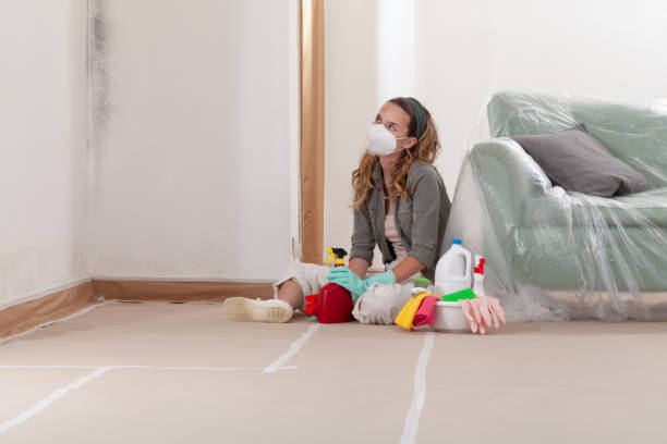 Mold Removal service in Churchton
